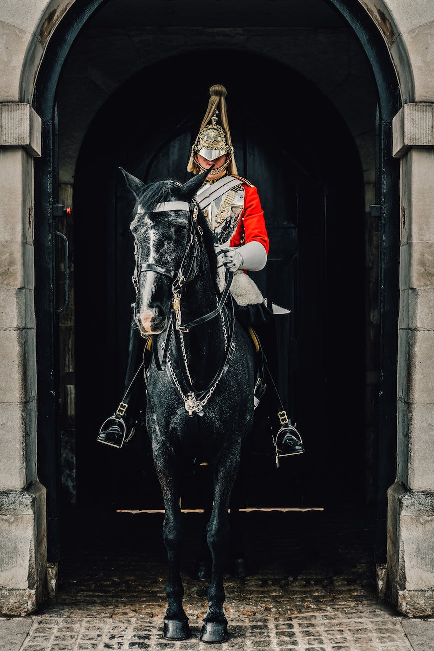 a household cavalry guarding the entrance