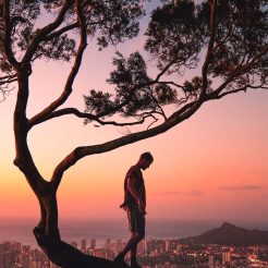 a photography of a man standing on a tree