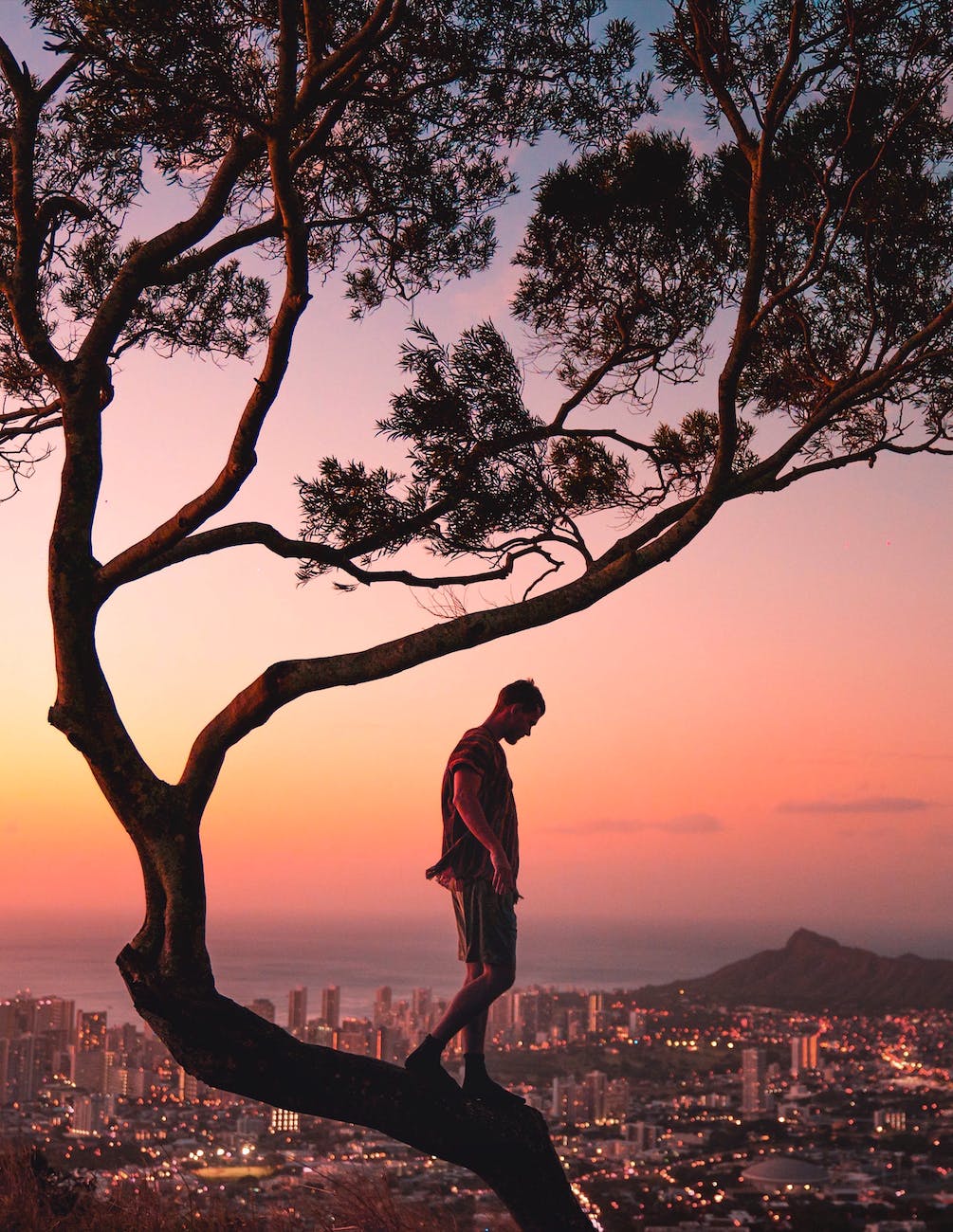 a photography of a man standing on a tree