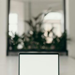 photo of person s hands using laptop