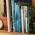 books placed on shelf with potted plants