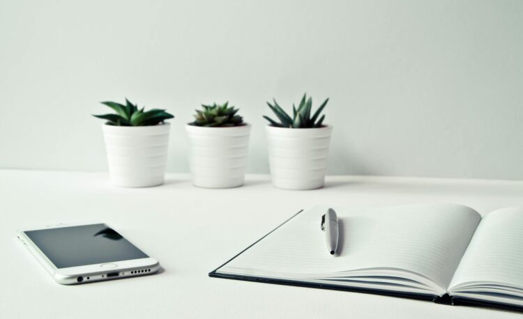 three white ceramic pots with green leaf plants near open notebook with click pen on top