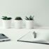 three white ceramic pots with green leaf plants near open notebook with click pen on top